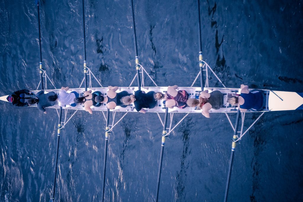 programme management